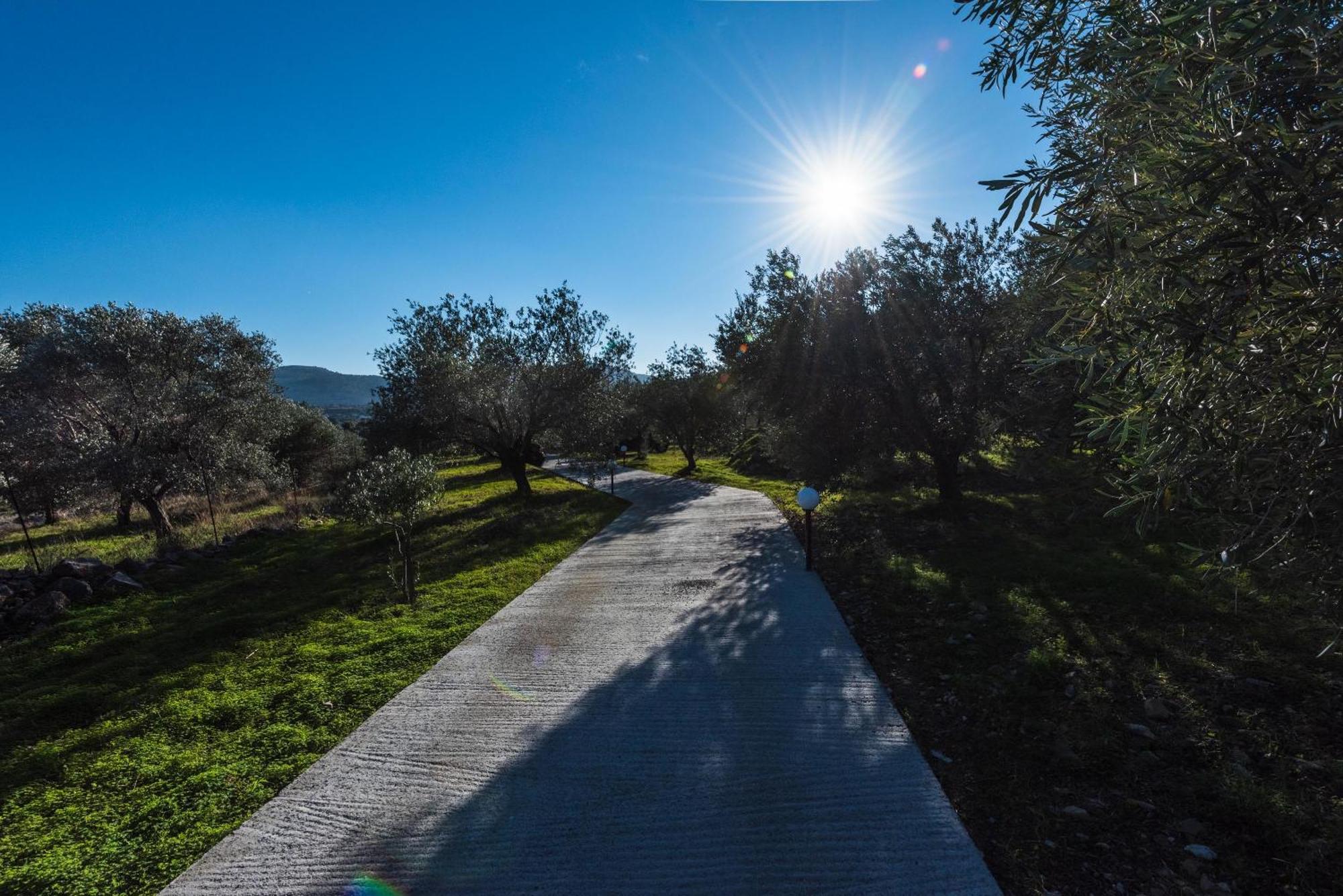 Evgenias Olive House Villa Kaláthos Kültér fotó
